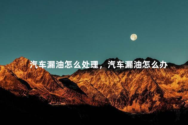 汽车漏油怎么处理，汽车漏油怎么办