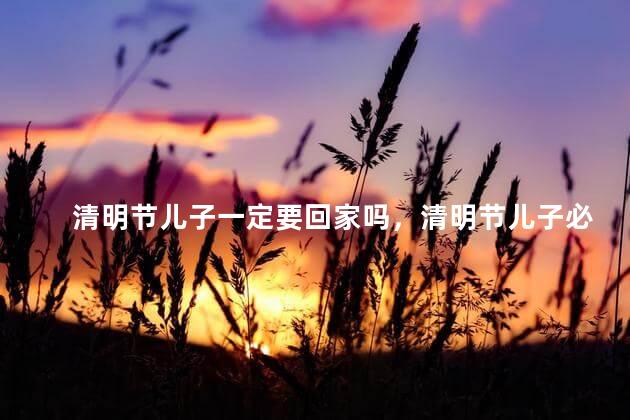 清明节儿子一定要回家吗，清明节儿子必须要回家吗