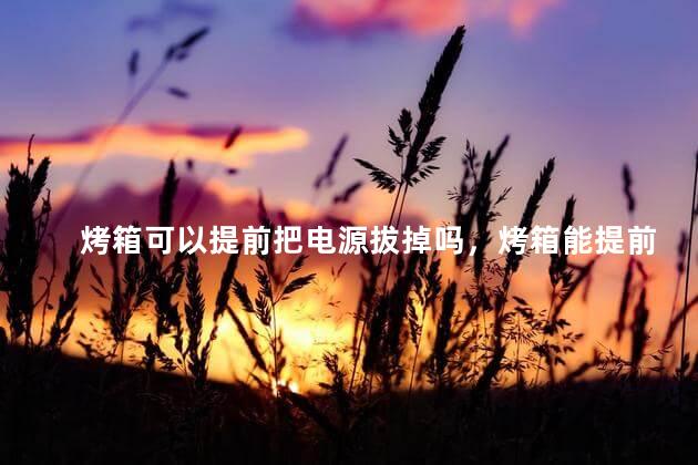烤箱可以提前把电源拔掉吗，烤箱能提前把电源拔掉吗