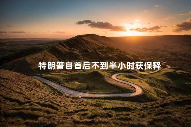 特朗普自首后不到半小时获保释 特朗普为何选择自首