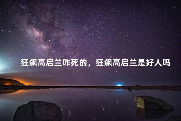 狂飙高启兰咋死的，狂飙高启兰是好人吗