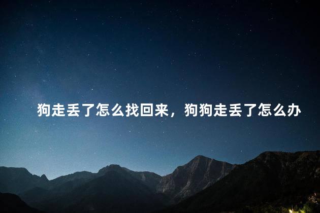 狗走丢了怎么找回来，狗狗走丢了怎么办