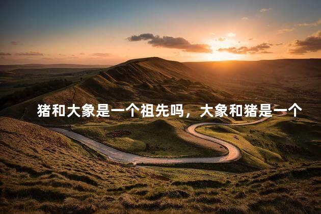 猪和大象是一个祖先吗，大象和猪是一个种类吗