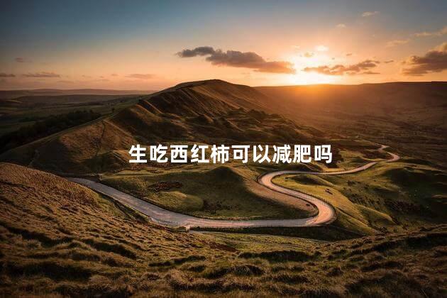 生吃西红柿可以减肥吗，生吃西红柿能减肥吗