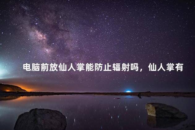 电脑前放仙人掌能防止辐射吗，仙人掌有防辐射的作用吗？