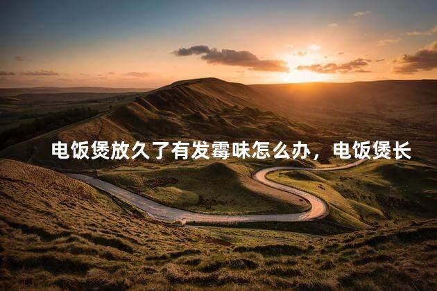 电饭煲放久了有发霉味怎么办，电饭煲长霉了怎么办