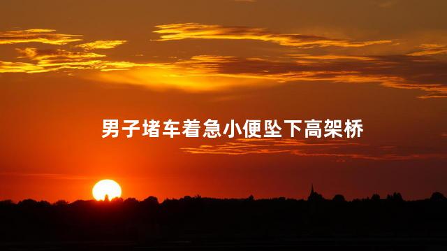 男子堵车着急小便坠下高架桥 男子疑堵车尿急误翻护栏坠高架