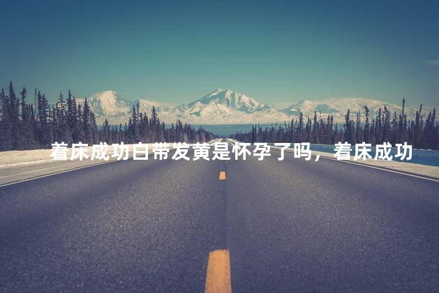 着床成功白带发黄是怀孕了吗，着床成功白带发黄是不是怀孕了