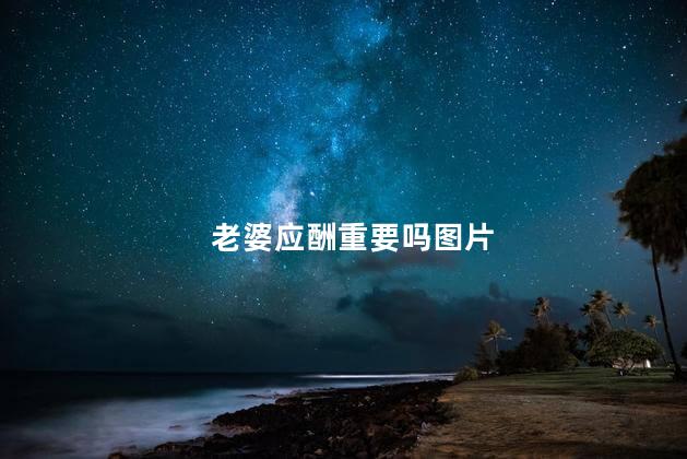 老婆应酬重要吗图片