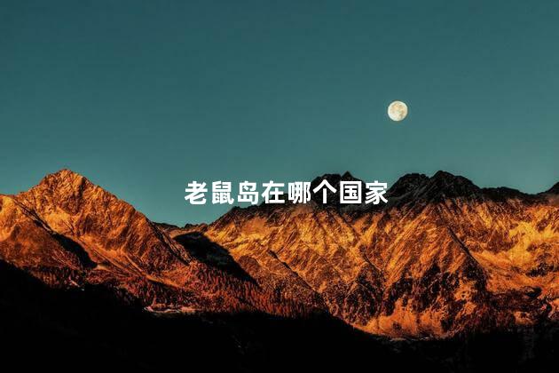 老鼠岛在哪个国家，老鼠岛在哪个国家的地方