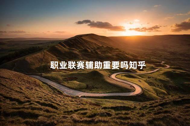 职业联赛辅助重要吗知乎