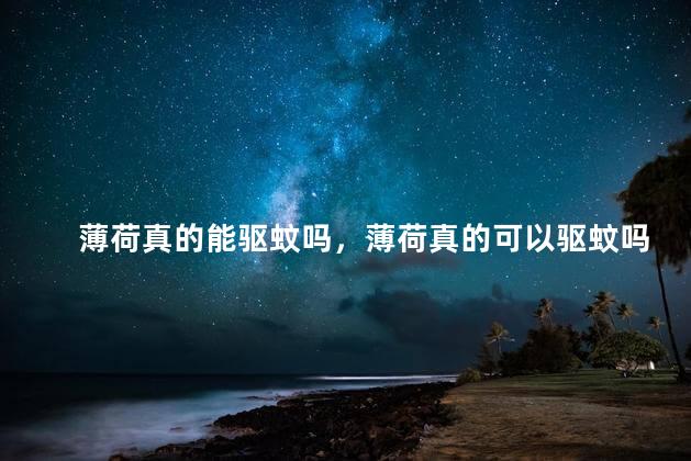 薄荷真的能驱蚊吗，薄荷真的可以驱蚊吗