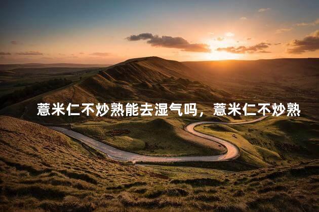 薏米仁不炒熟能去湿气吗，薏米仁不炒熟可以去湿气吗