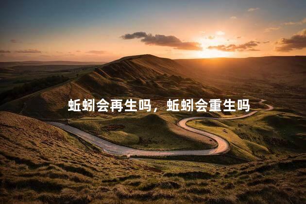 蚯蚓会再生吗，蚯蚓会重生吗