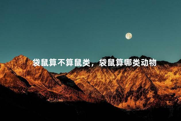 袋鼠算不算鼠类，袋鼠算哪类动物