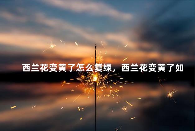 西兰花变黄了怎么复绿，西兰花变黄了如何复绿
