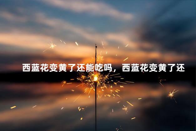 西蓝花变黄了还能吃吗，西蓝花变黄了还可以吃吗