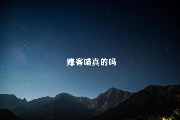 赚客喵真的吗