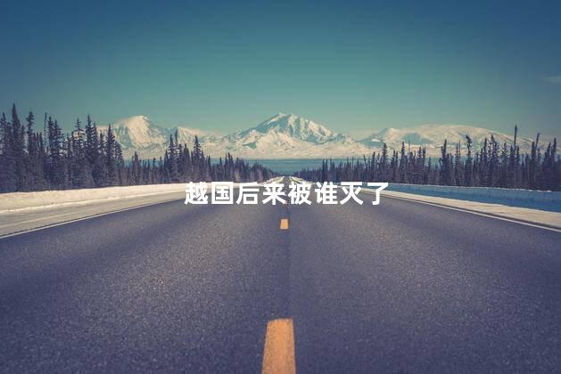 越国后来被谁灭了，越国最后被哪个国家灭了