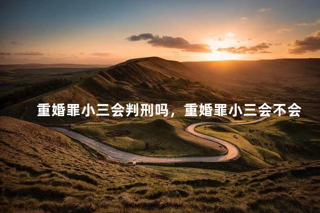 重婚罪小三会判刑吗，重婚罪小三会不会判刑