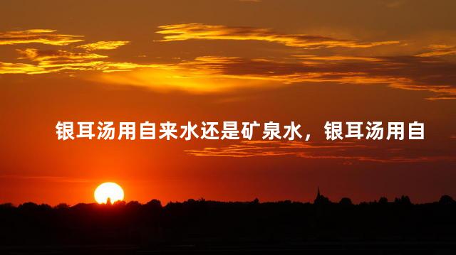 银耳汤用自来水还是矿泉水，银耳汤用自来水煮还是用矿泉水煮