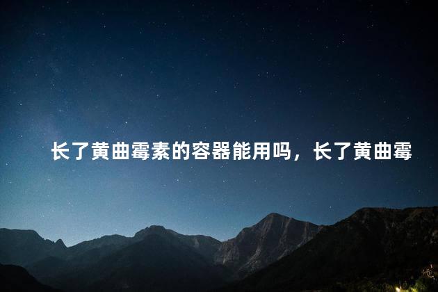 长了黄曲霉素的容器能用吗，长了黄曲霉素的容器可以用吗