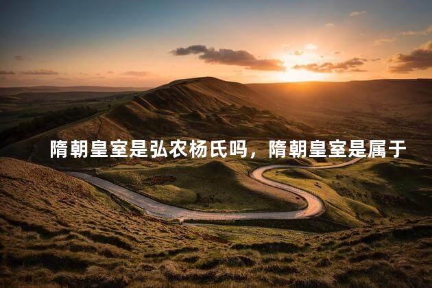 隋朝皇室是弘农杨氏吗，隋朝皇室是属于弘农杨氏吗