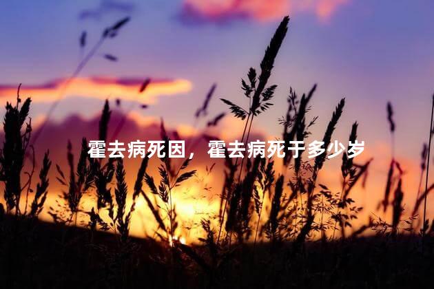 霍去病死因，霍去病死于多少岁