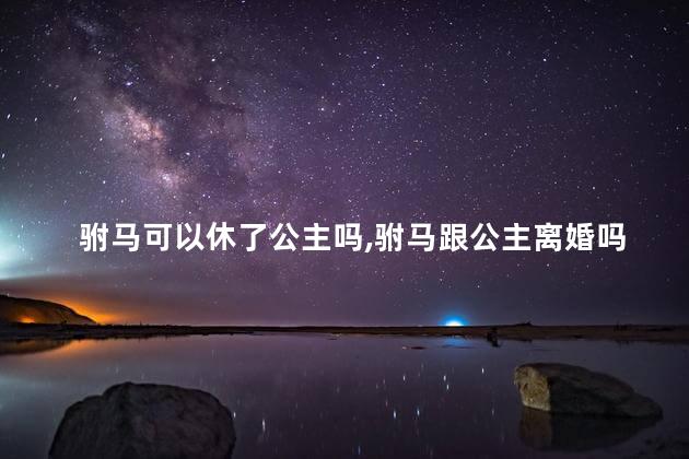 驸马可以休了公主吗，驸马跟公主离婚吗