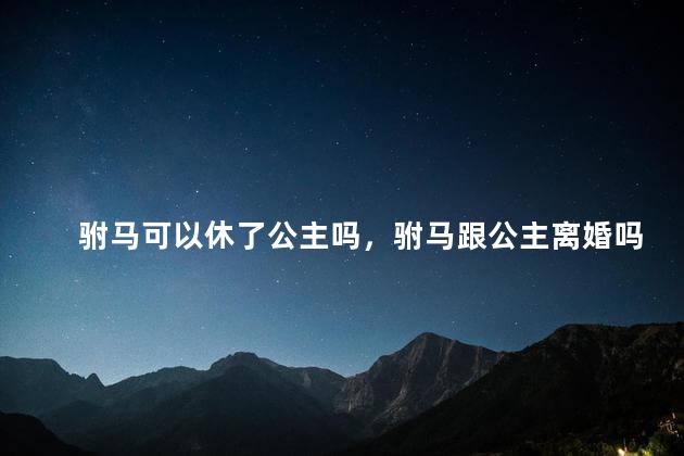 驸马可以休了公主吗，驸马跟公主离婚吗