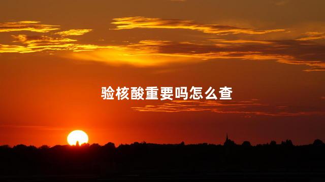 验核酸重要吗怎么查