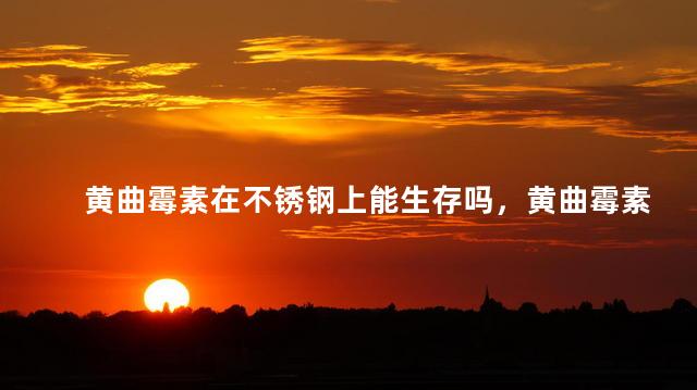 黄曲霉素在不锈钢上能生存吗，黄曲霉素在不锈钢上可以生存吗