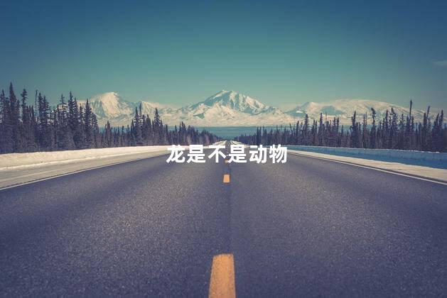 龙是不是动物，	世界上真有龙吗