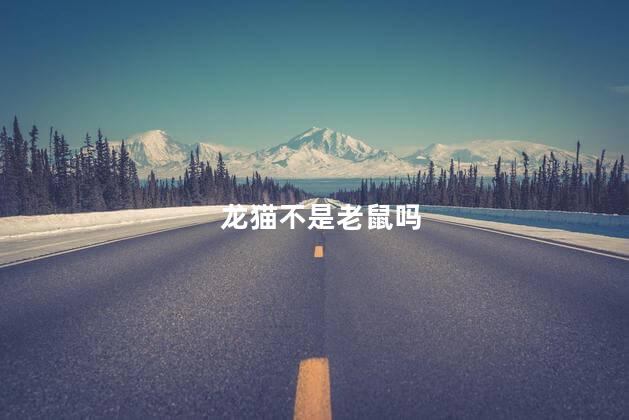 龙猫不是老鼠吗，龙猫宠物是不是老鼠