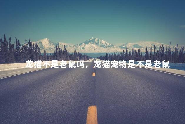 龙猫不是老鼠吗，龙猫宠物是不是老鼠