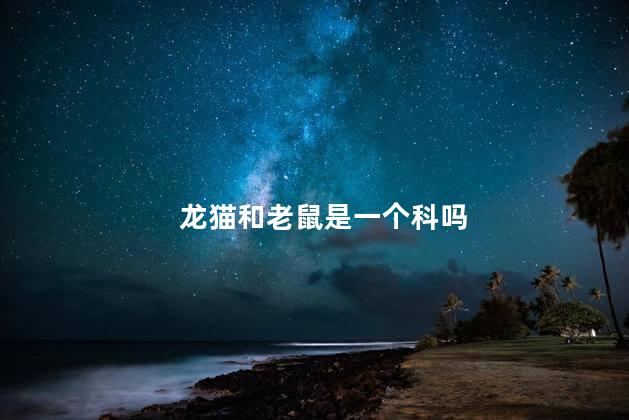 龙猫和老鼠是一个科吗，龙猫和老鼠有什么区别