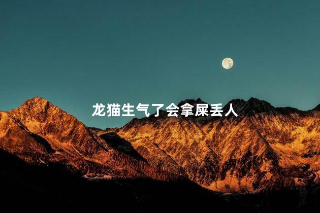 龙猫生气了会拿屎丢人，龙猫生气了会怎么样