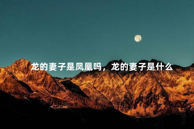 龙的妻子是凤凰吗，龙的妻子是什么